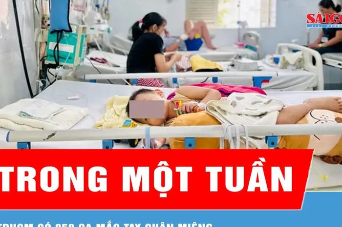 TPHCM có 858 ca mắc tay chân miệng trong một tuần - Báo Sài Gòn Giải Phóng