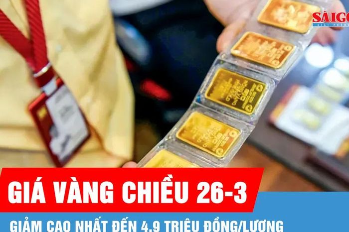 Chiều 26-3: Giá vàng giảm cao nhất đến 4,9 triệu đồng/lượng - Báo Sài Gòn Giải Phóng