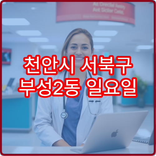 천안시 서북구 부성2동 일요일 이비인후과 진료 병원 비염 관리 상담