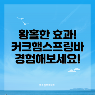 커크햄스프링바, 스프링바 효과, 믿을 수 있는 스프링바, 최고의 커크햄스프링바, 커크햄스프링바 리뷰