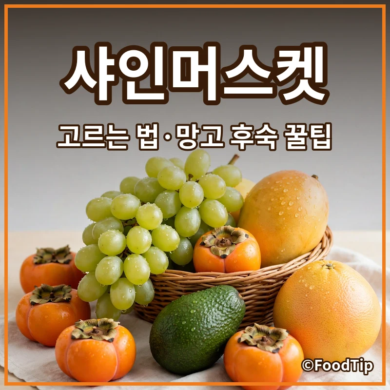 4050 미식가 필수! 샤인머스켓 고르는 법부터 애플망고 후숙 꿀팁까지 완벽 가이드