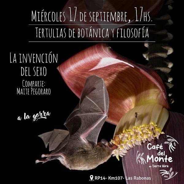 La invención del sexo🌺🐝