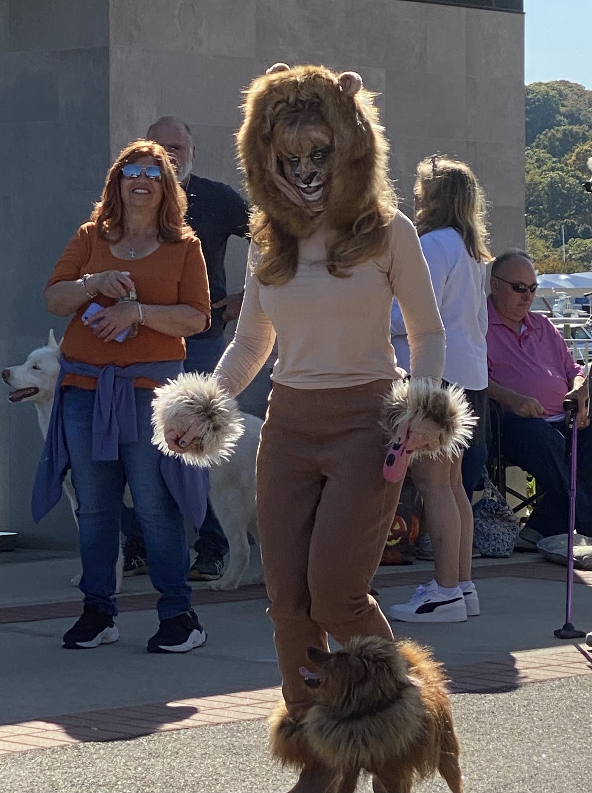 Local pets and families in costumes during the community dog show.