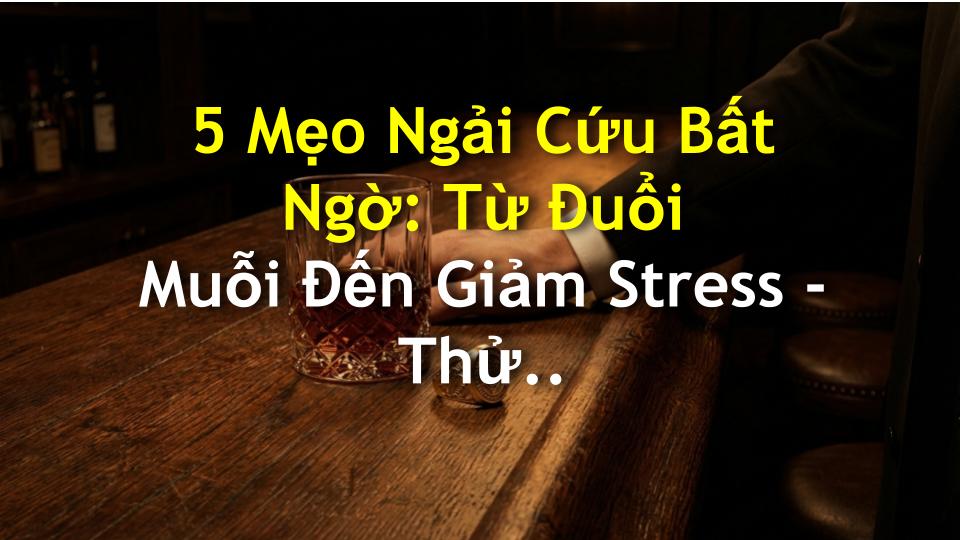 5 Mẹo Ngải Cứu Bất Ngờ: Từ Đuổi Muỗi Đến Giảm Stress - Thử Ngay Tại Nhà!