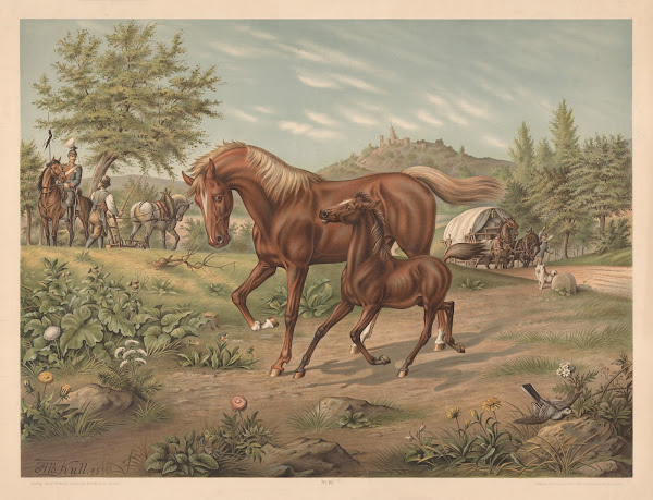 Horse and foal 1880