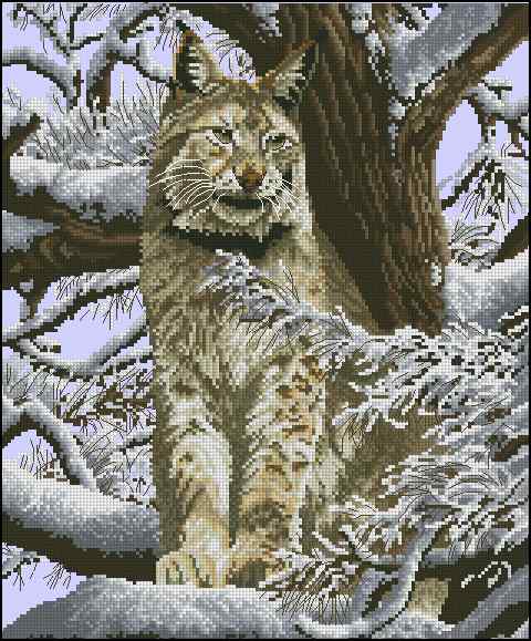 CMP 400462 Siberian Lynx