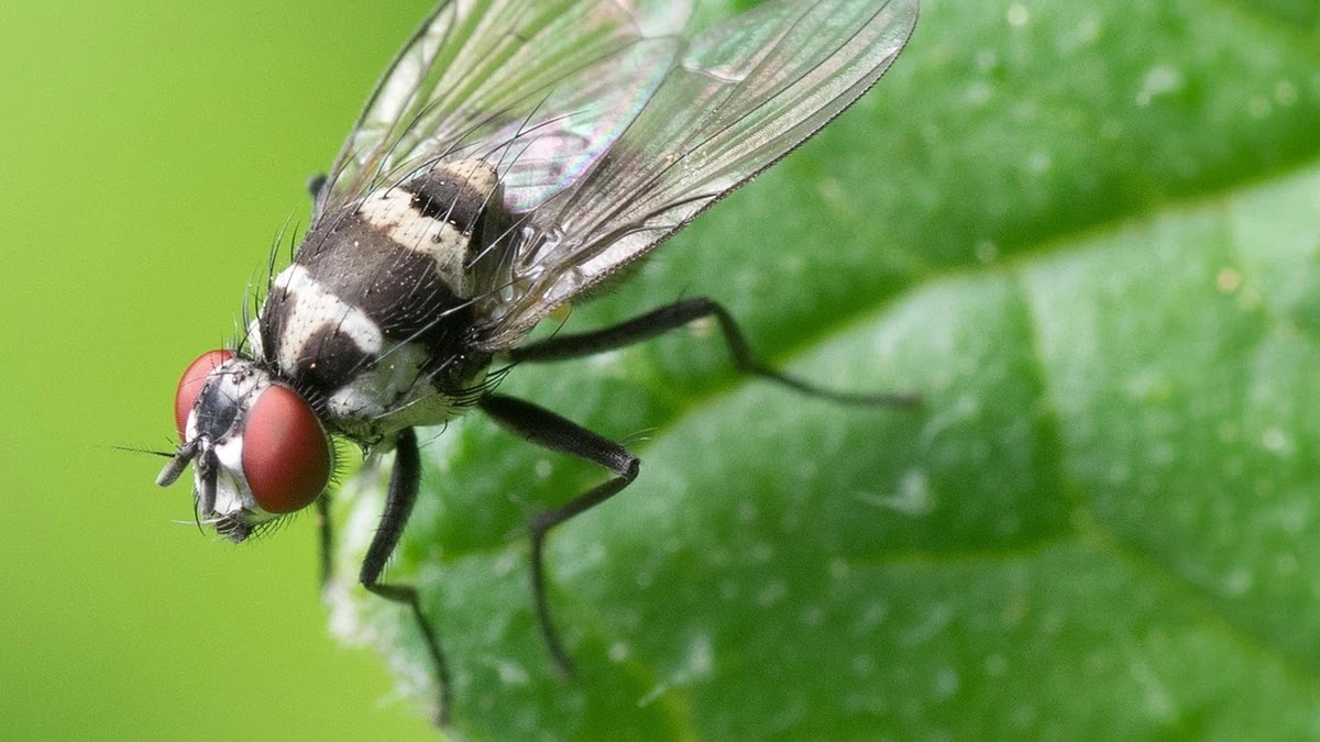 복리 적금 이자 계산법과 단리 대비 효과 분석