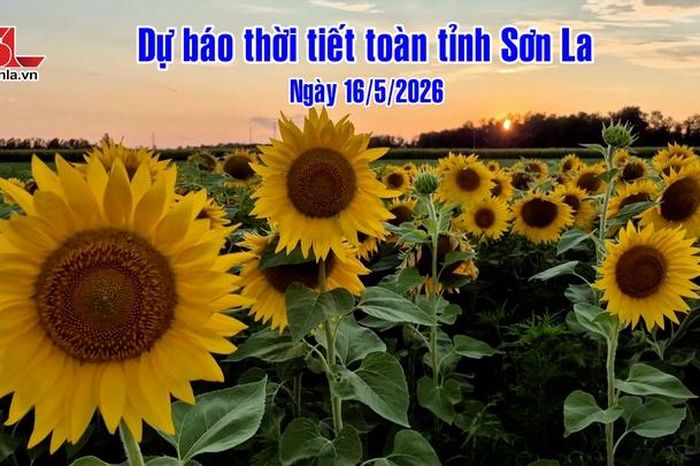 Dự báo thời tiết toàn tỉnh Sơn La ngày 16/5/2026 - Báo Sơn La