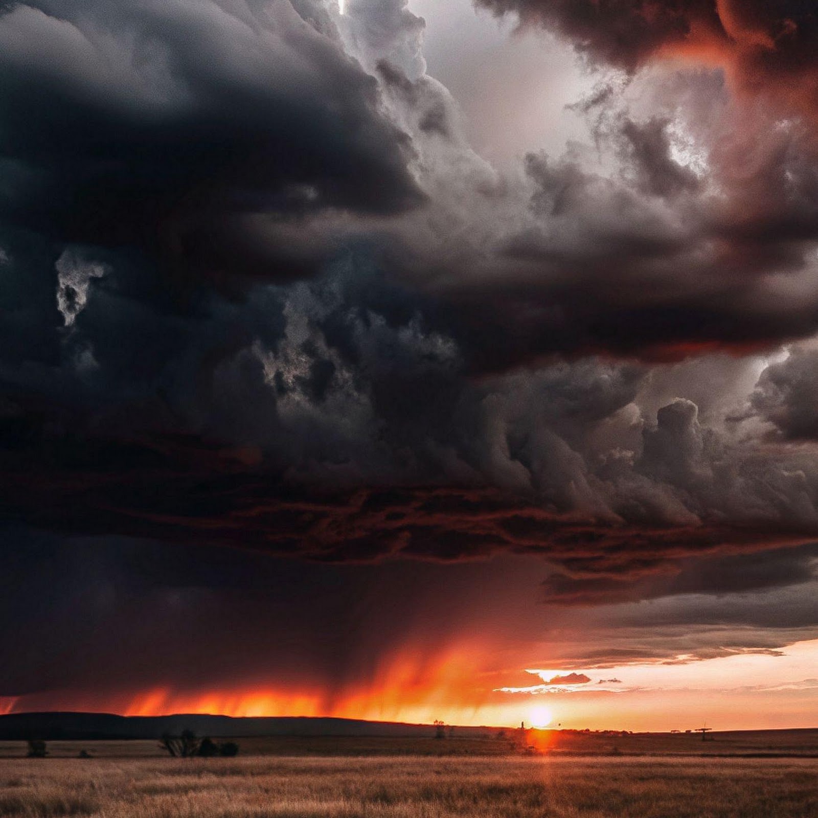 Download Stormy Sunset Over Golden Field 2K iPhone