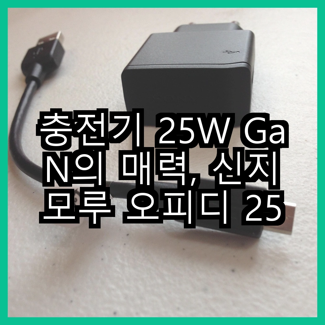 충전기 25W GaN의 매력, 신지모루 오피디 25W 듀얼포트 vs 삼성전자 25W C타입, 어떤 선택이 더 빠를까? 썸네일