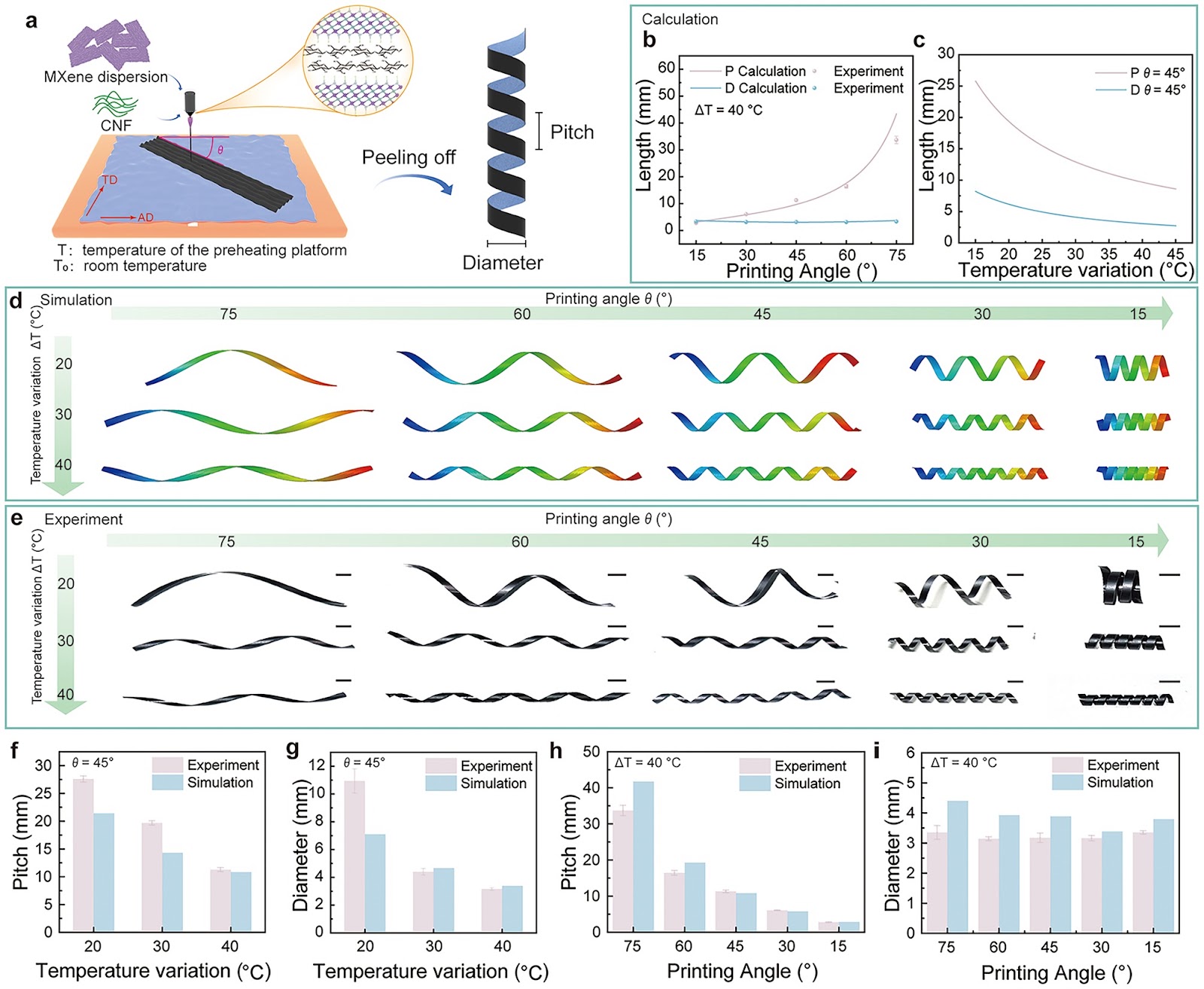 From Coils to Crawls: A Snake-Inspired Soft Robot for Multimodal Locomotion and Grasping