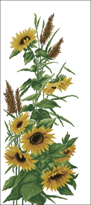 CMP KAT00148 Sunflower