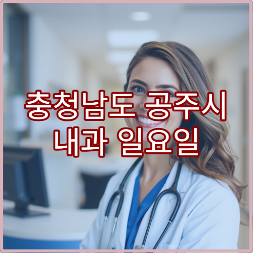 충청남도 공주시 내과 일요일 진료 병원 고혈압·당뇨 응급 관리 가능