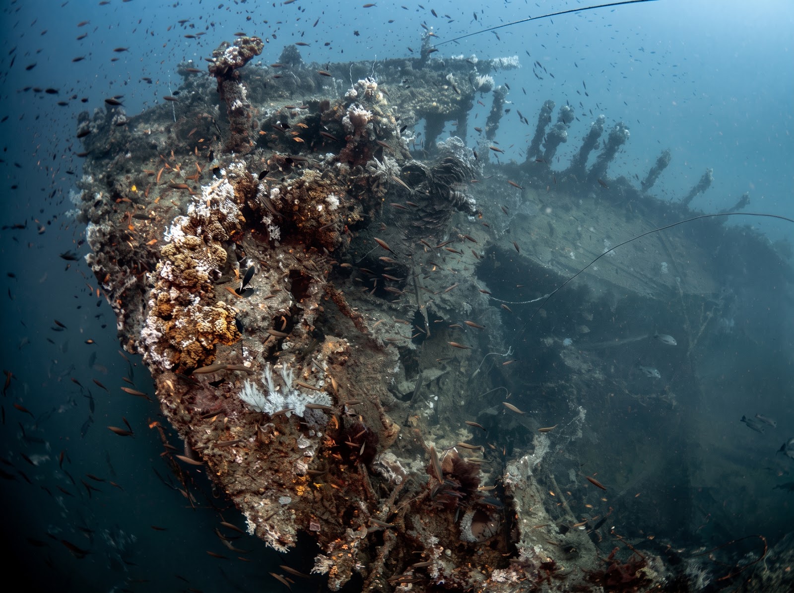 Umari Shipwreck
