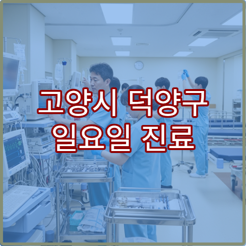 고양시 덕양구 일요일 진료 안과 병원 결막염·시력 검사 진료 가능