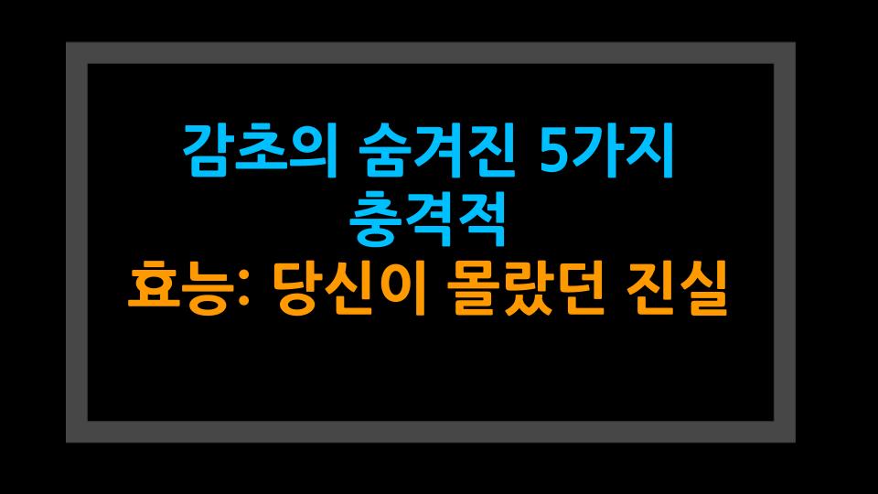 감초의 숨겨진 5가지 충격적 효능: 당신이 몰랐던 진실
