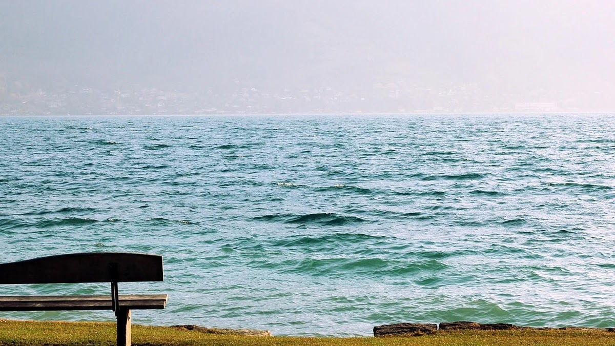 수출입 통관 지연 원인별 대응 절차와 해결 방법