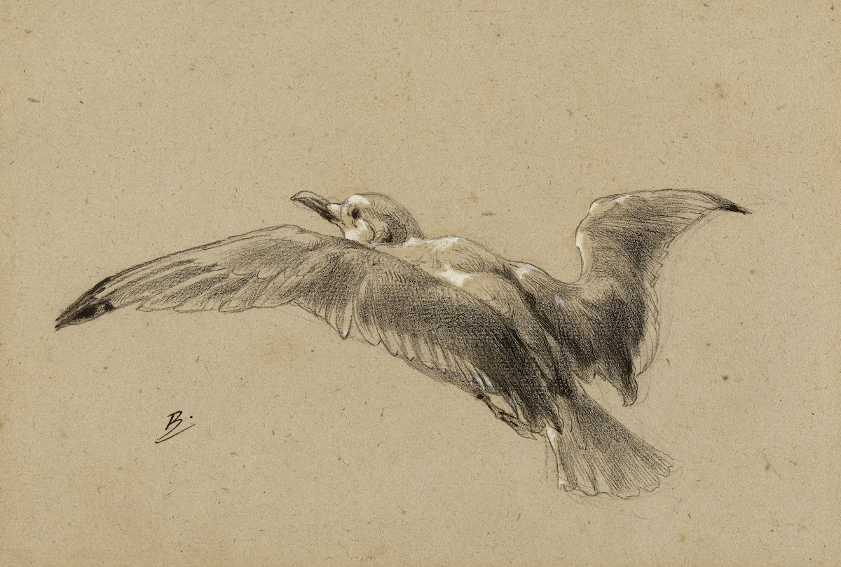 Mouettes 19th century
