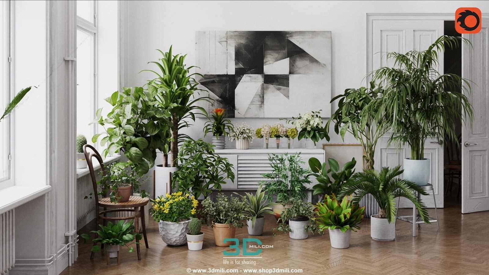 978.Sell Album Indoor Plant PRO Vol 01
