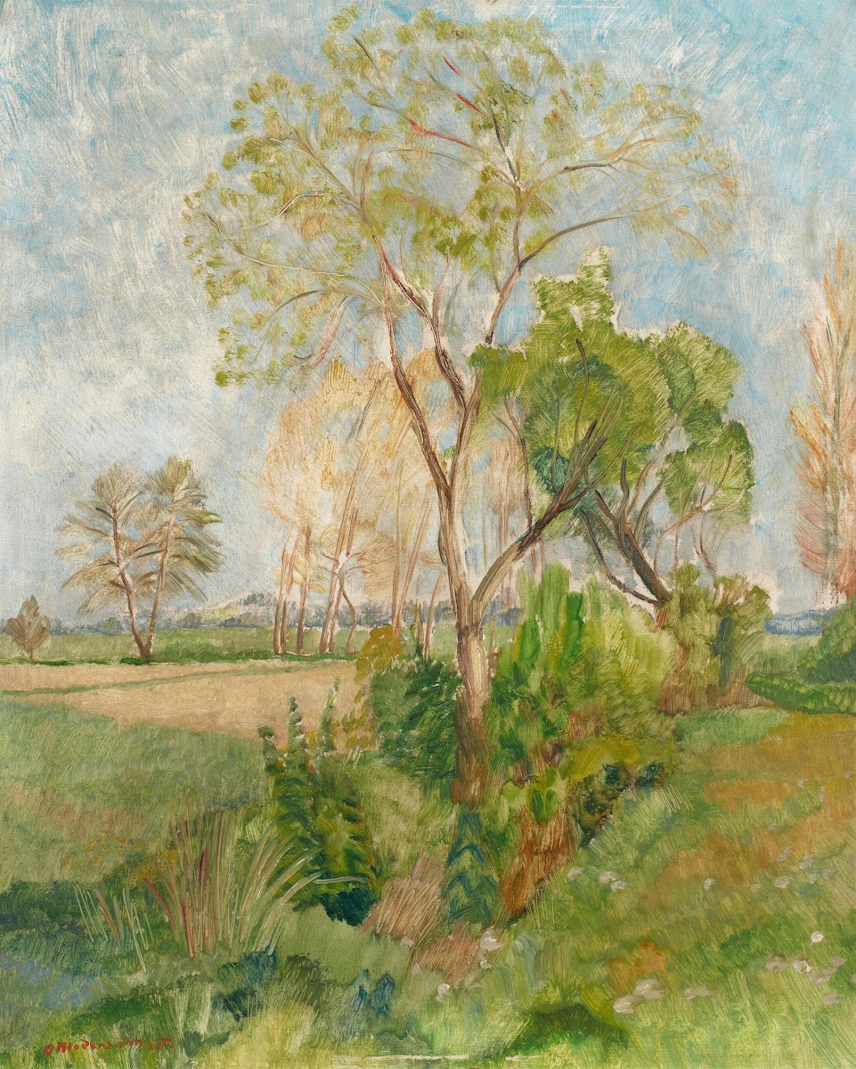 Frühling in den Wümmewiesen  Büsche und Bäume hinter Brelings 1925