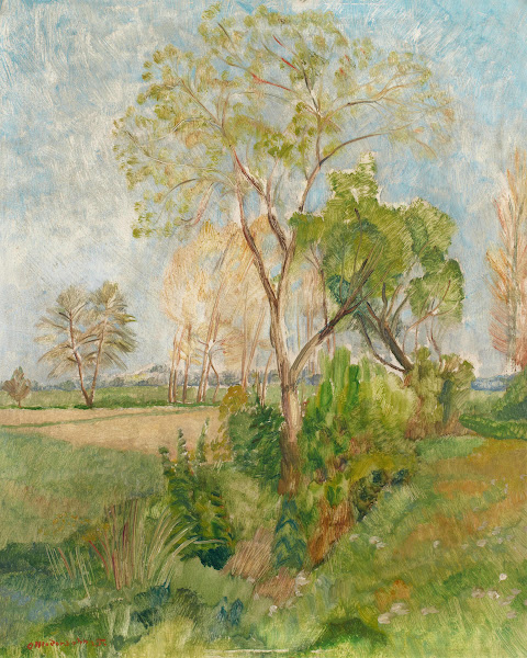 Frühling in den Wümmewiesen  Büsche und Bäume hinter Brelings 1925