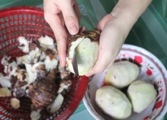 Khoai sọ rửa sạch, gọt hết vỏ rồi ngâm trong nước muối loãng cho khoai được trắng.
