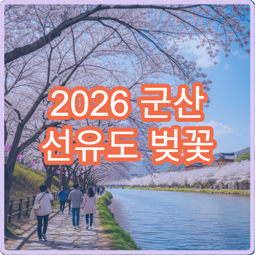 2026 군산 선유도 벚꽃 개화일정과 배편 시간표 완벽 정리