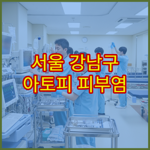 서울 강남구 아토피 피부염 이상 증상 치료 전문 피부과 병원 안내