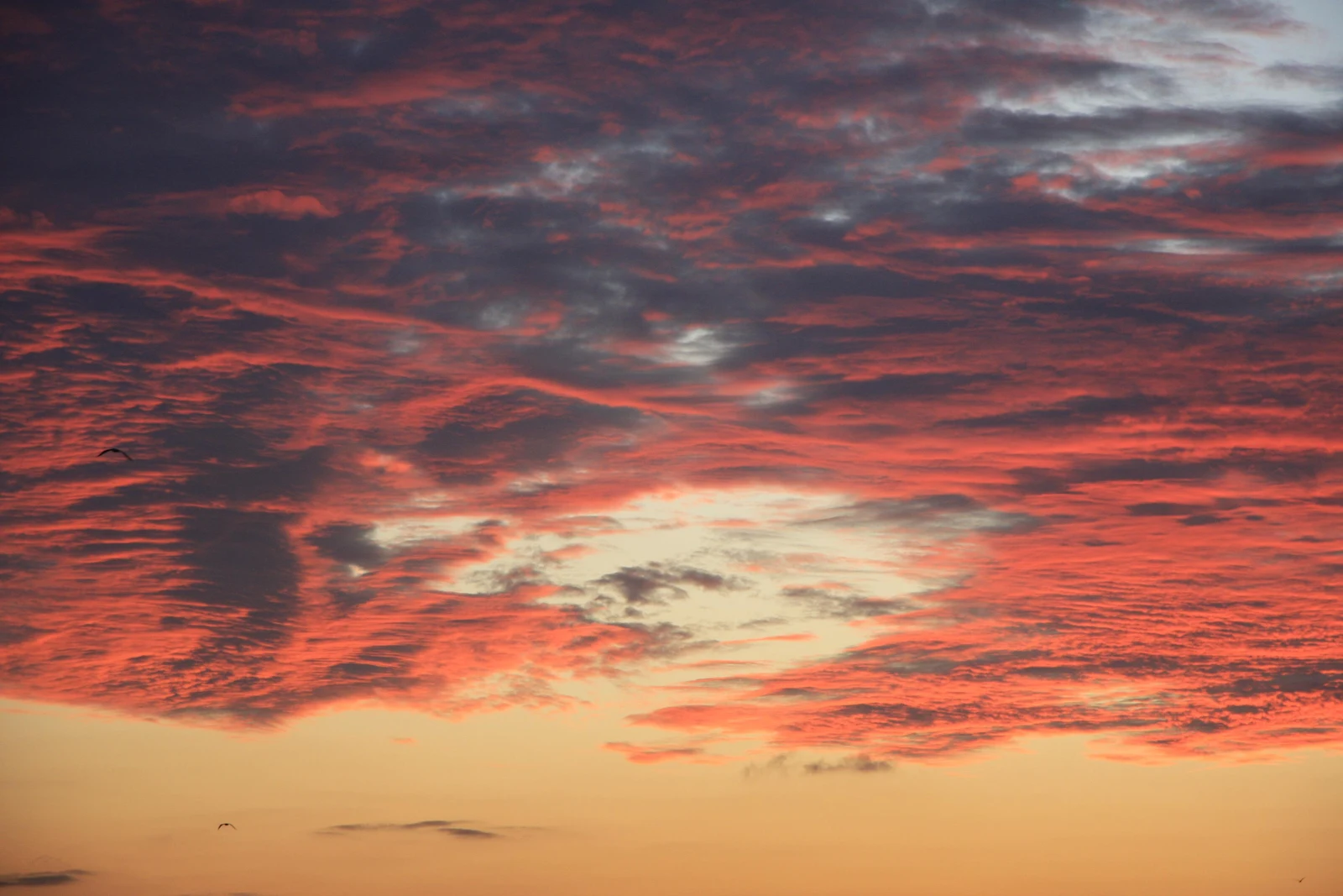 Vivid Red And Orange Sunset - Nature Photography 4K Wallpaper (3888x2592)