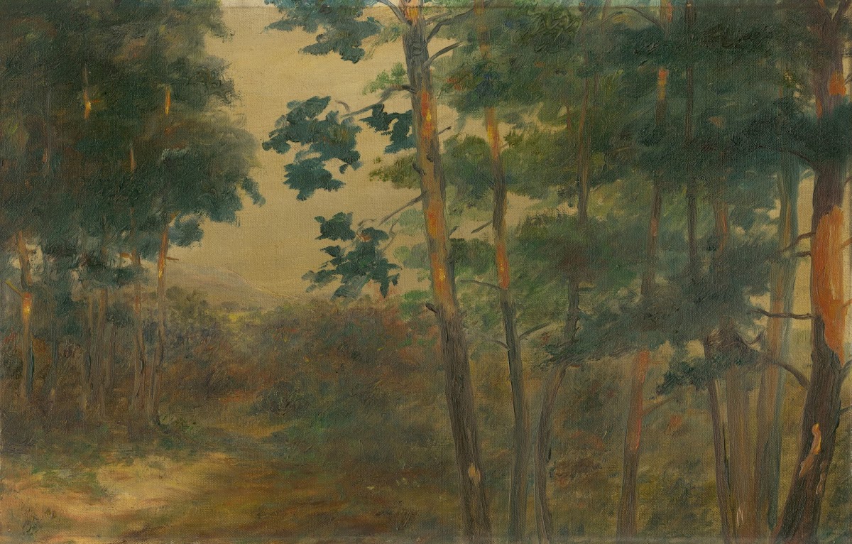 Forest view 19021908