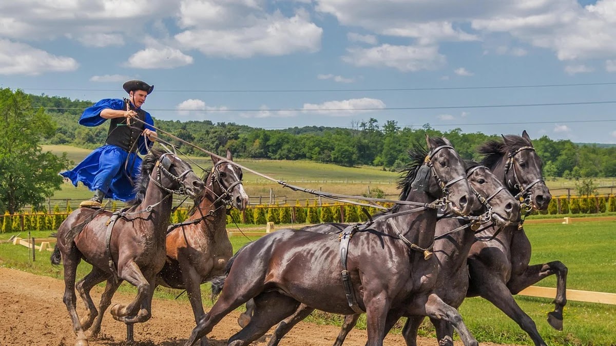역사적 전환점으로 본 세계사 주요 사건 비교와 영향 관계