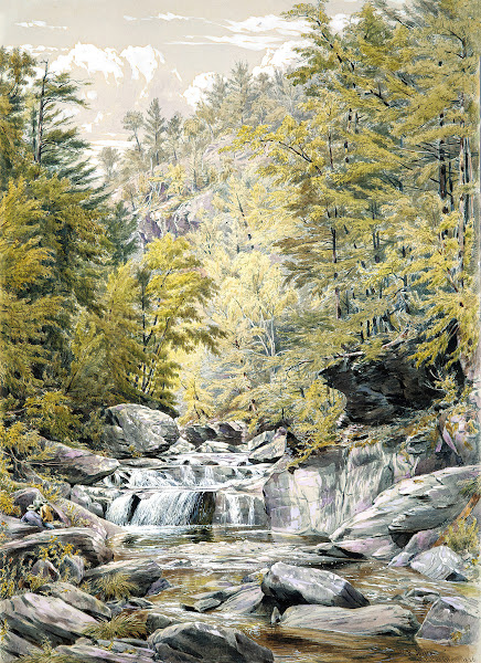 Catskill Clove 1856