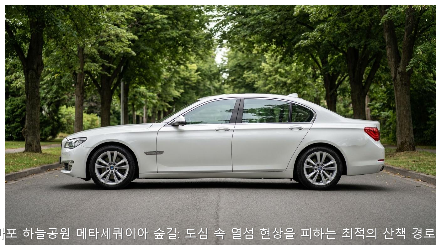 서울 마포 하늘공원 메타세쿼이아 숲길: 도심 속 열섬 현상을 피하는 최적의 산책 경로 가이드 핵심 안내 및 분석 인포그래픽 (6)