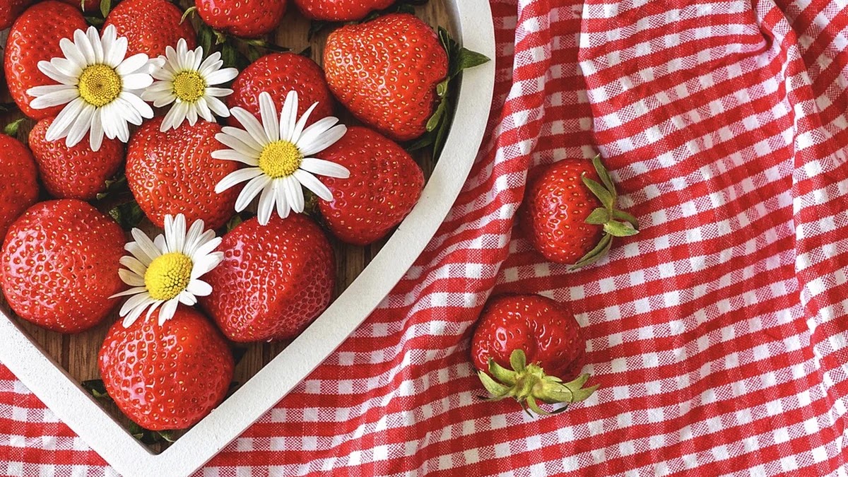 크리에이터 4대보험 가입 절