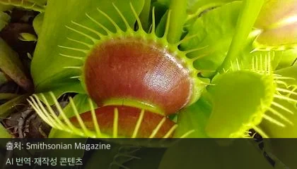 파리지래래트 작동 원리 - 순식간에 닫히는 파리지래래트, 그 비밀은 '세포벽'에 있었다