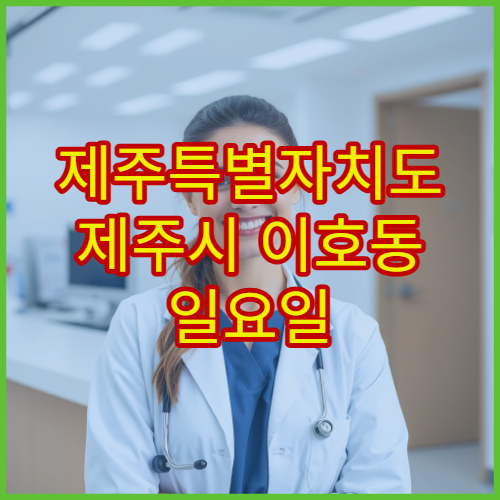 제주특별자치도 제주시 이호동 일요일 휴일 당직약국 위치 정리