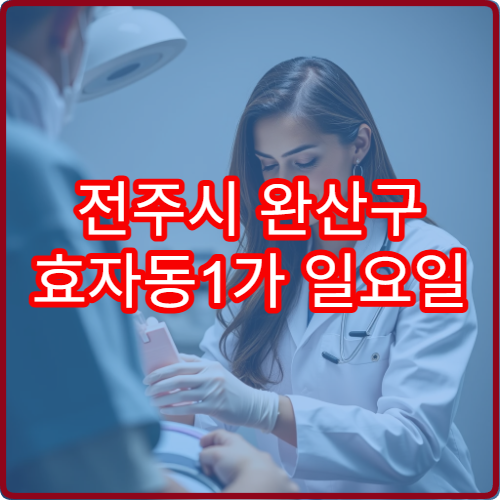 전주시 완산구 효자동1가 일요일 진료 피부과 알레르기 두드러기 치료