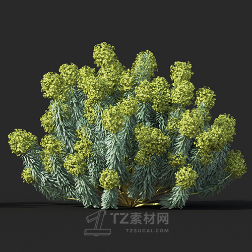 Maxtree - Plant Models Vol.60