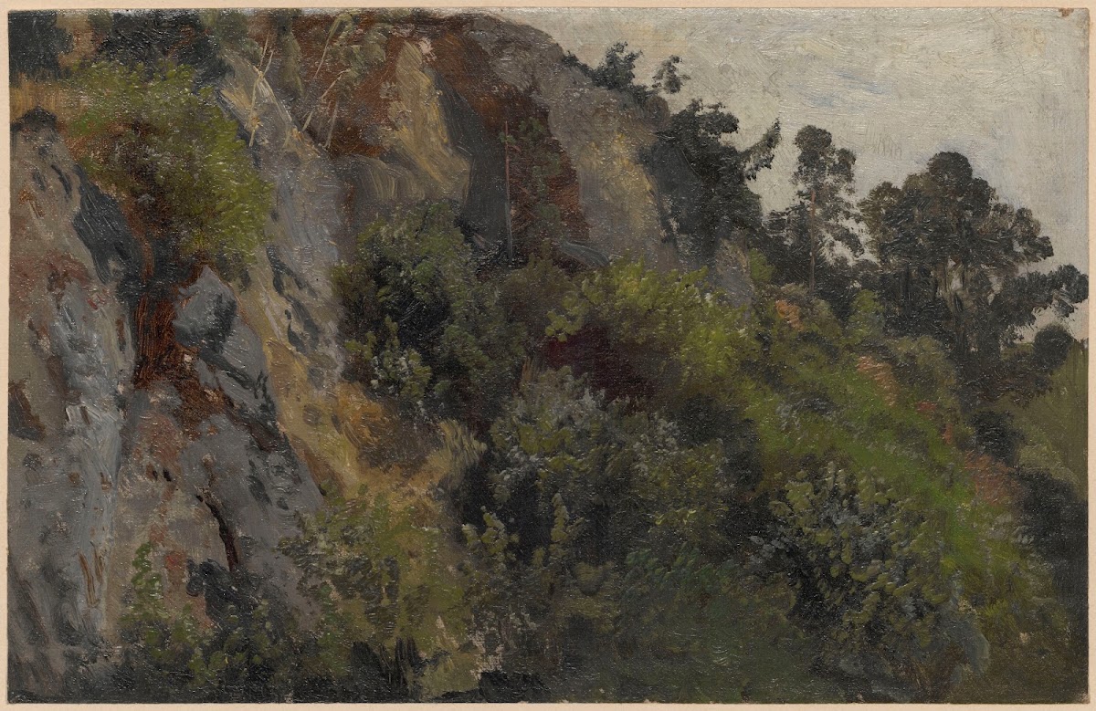 Rocky slope overgrown with plants 1850 1881