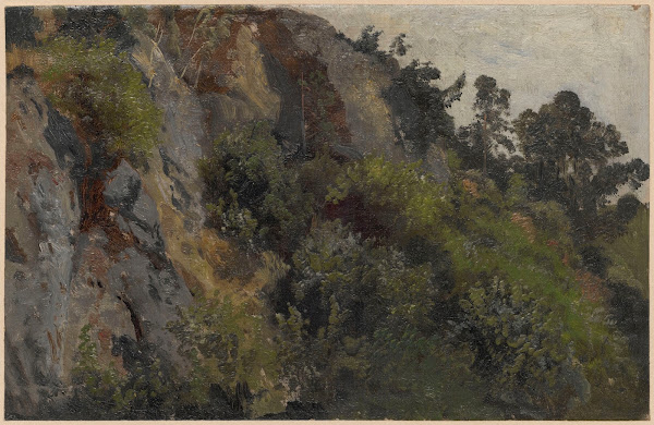Rocky slope overgrown with plants 1850 1881