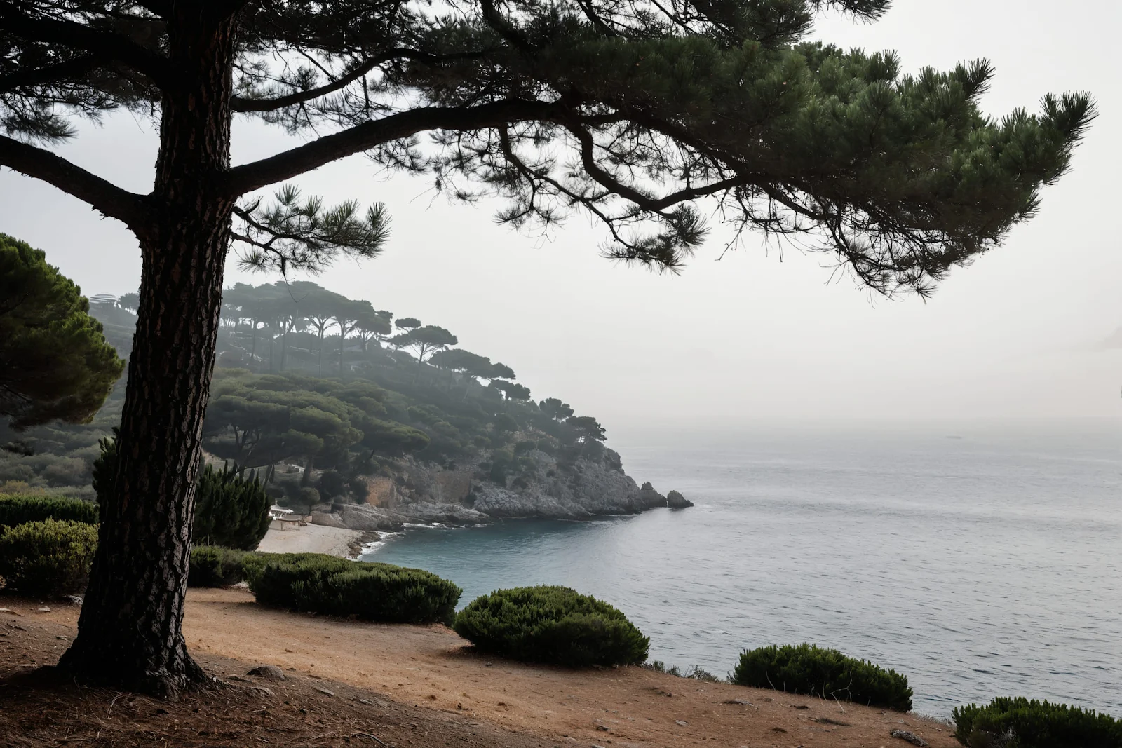 CAI ibiza online.blogspot 00366