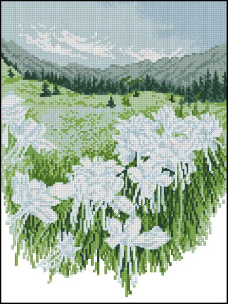 CMP 320035 Valley Of Flowers