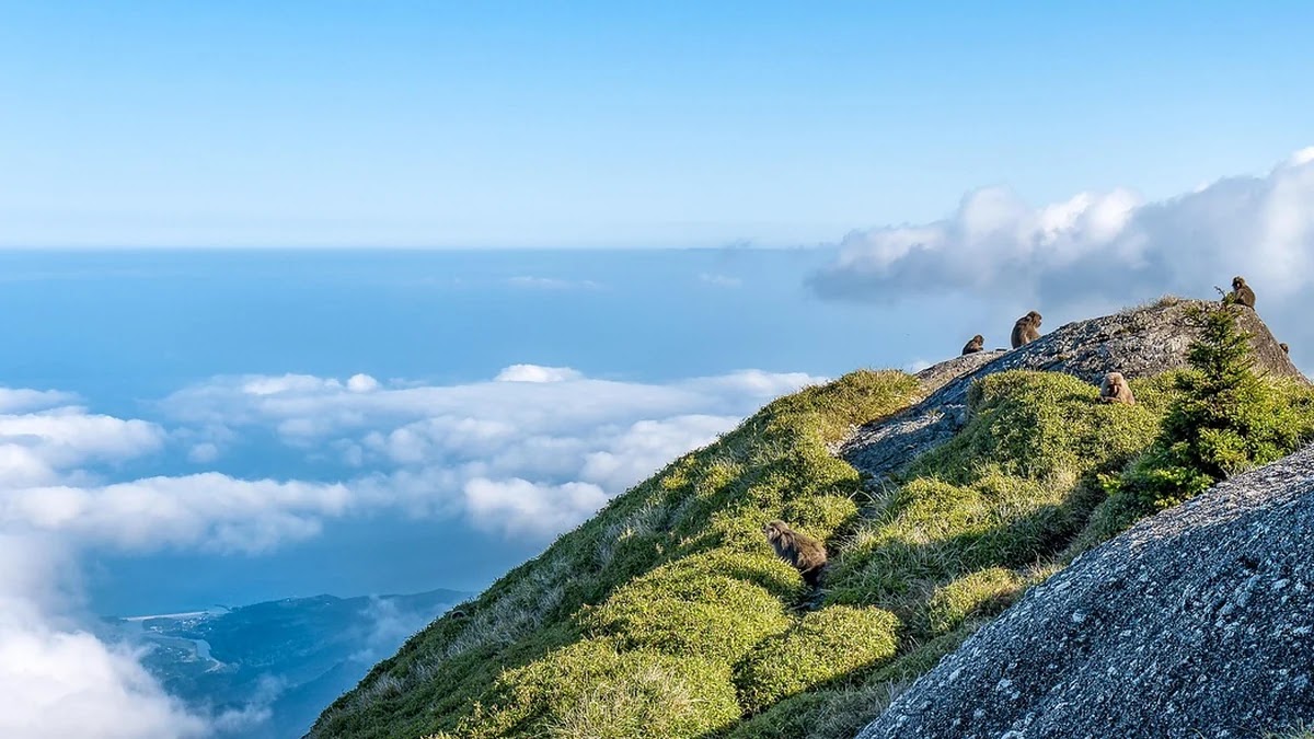 기준금리와 시장금리 차이의 경제적 의미와 투자 영향