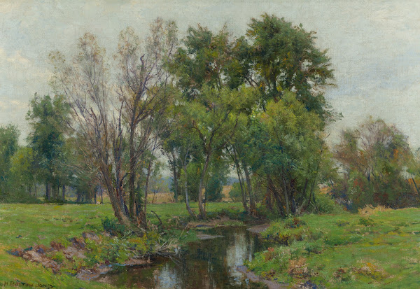 A Meadow Stream
