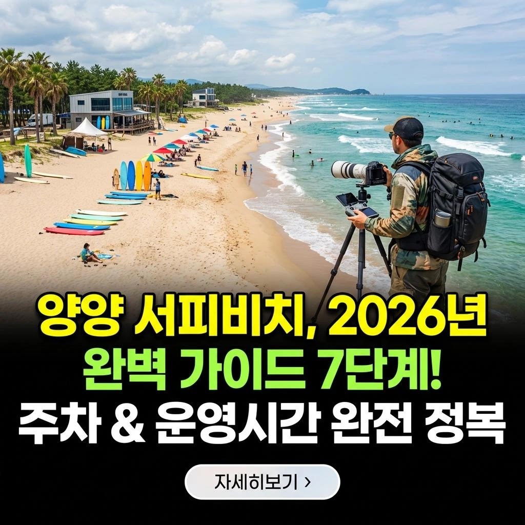 2026 양양 서피비치: 프리미엄 방문 완벽 분석
