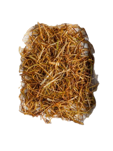 Veg Fried Leeks Ashak