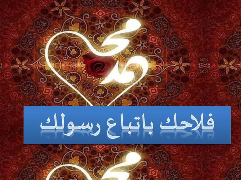 صورة الغلاف