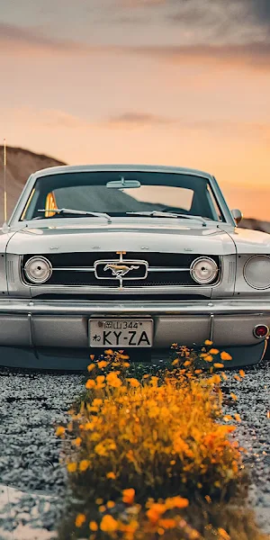 Car, Vehicle, Ford, Outdoors, Ford Mustang 5K Wallpaper Background