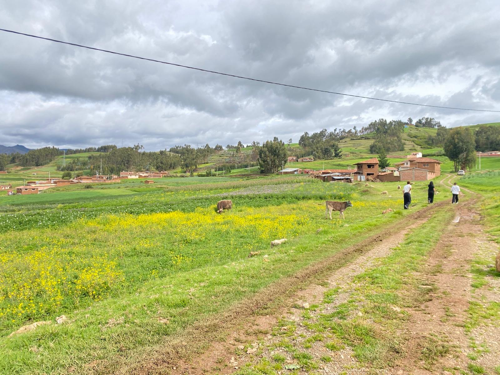Imagen 3 de Terreno (Modal)