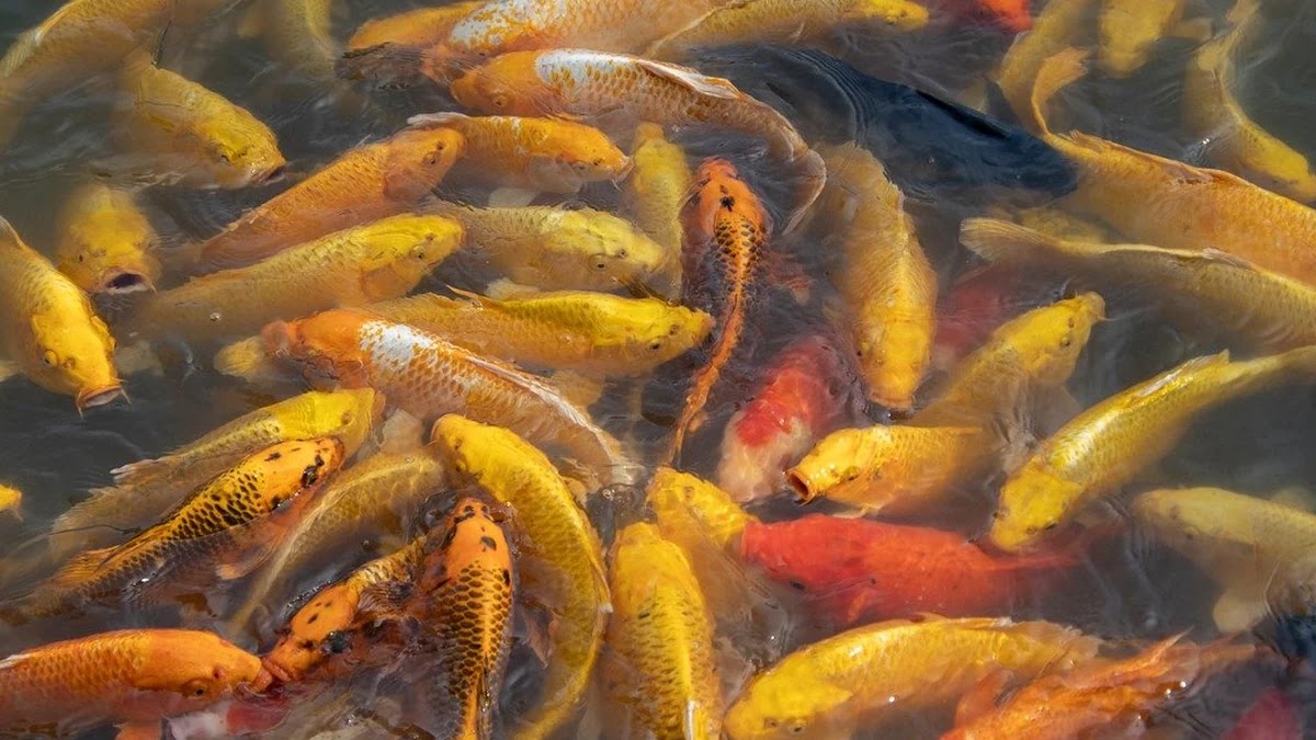 주택 공급 부족이 부동산 시장에 미치는 5가지 구조적 영향